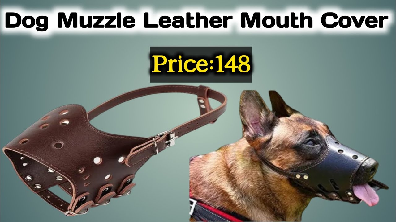 Dog Mouth Cover for German Shepherd