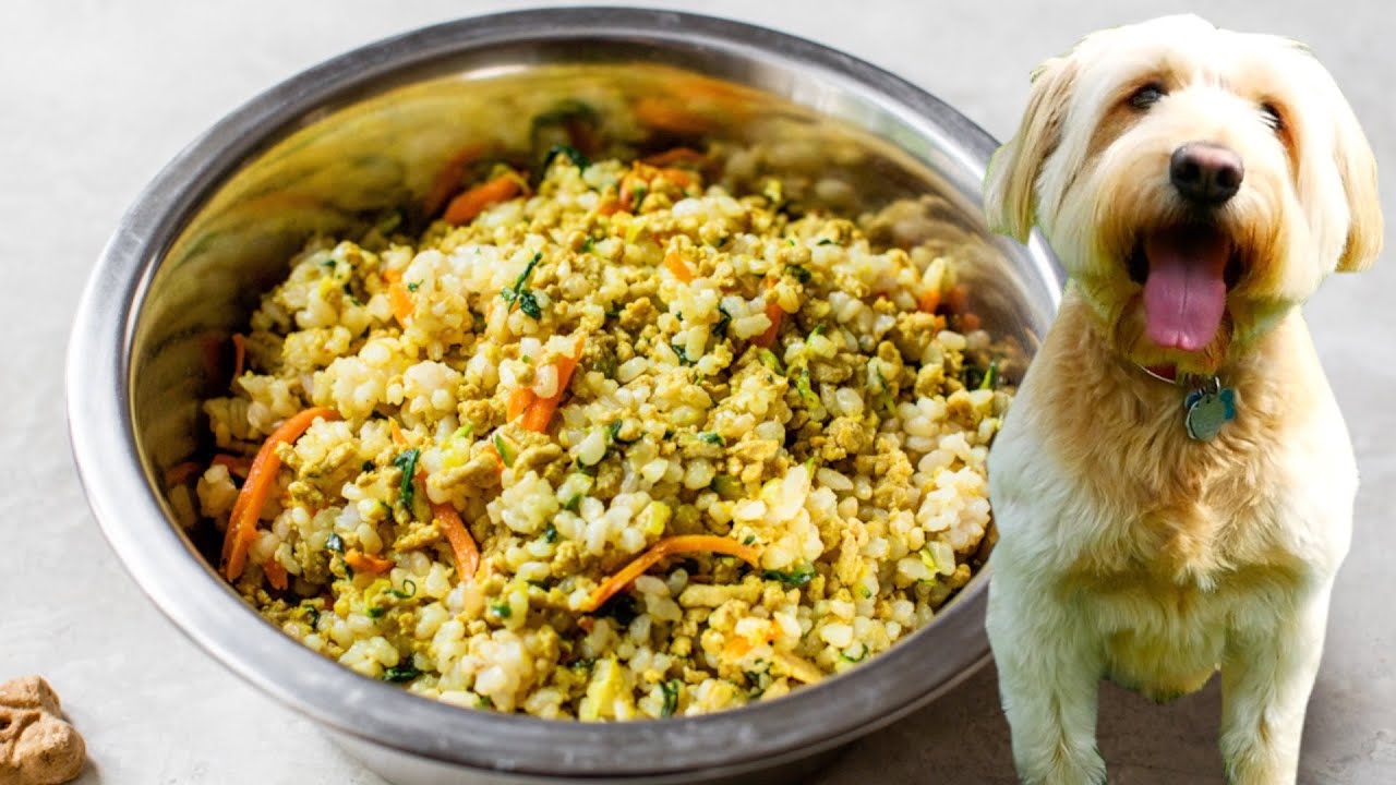 Healthy food for dogs homemade